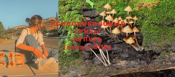 a pvp Беломорск