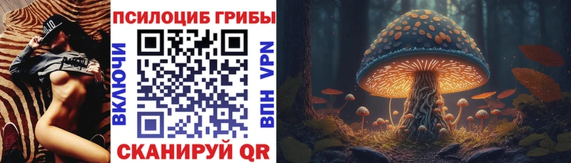 Псилоцибиновые грибы Cubensis  купить закладку  Крымск 